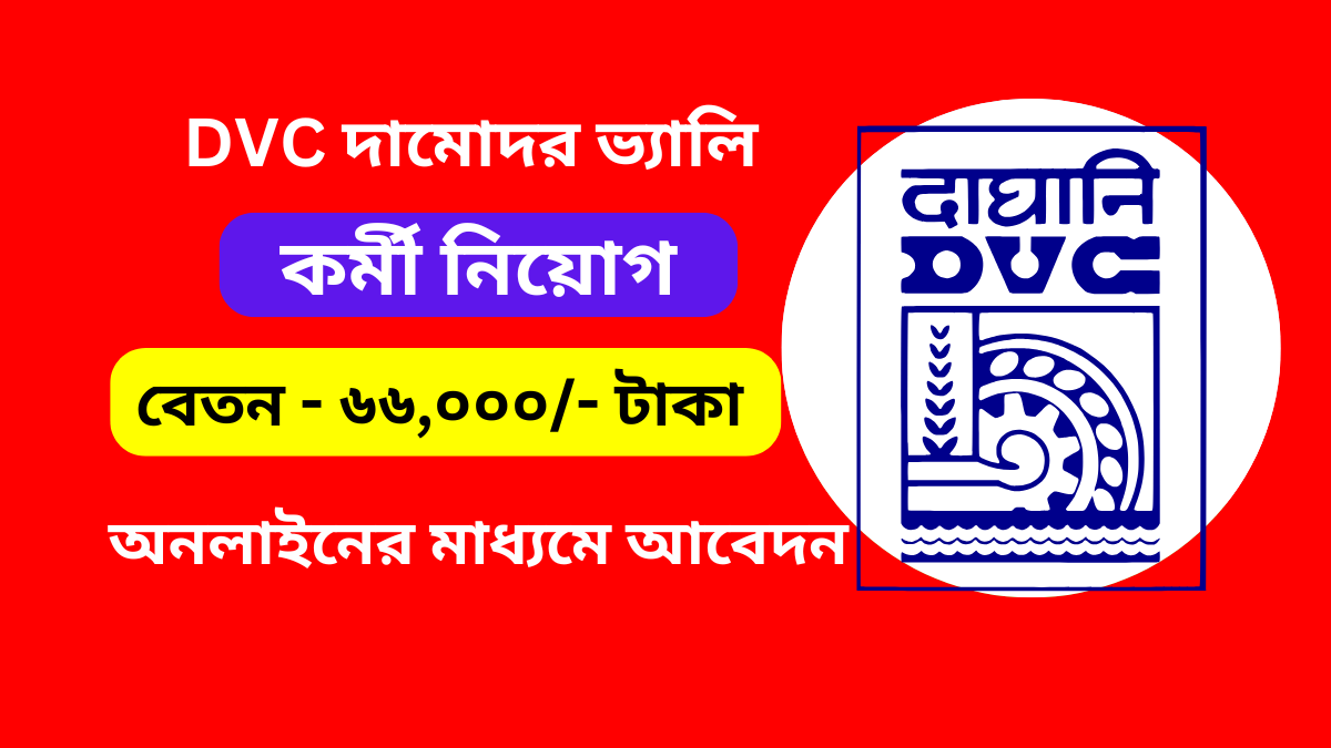 DVC Recruitment 2025