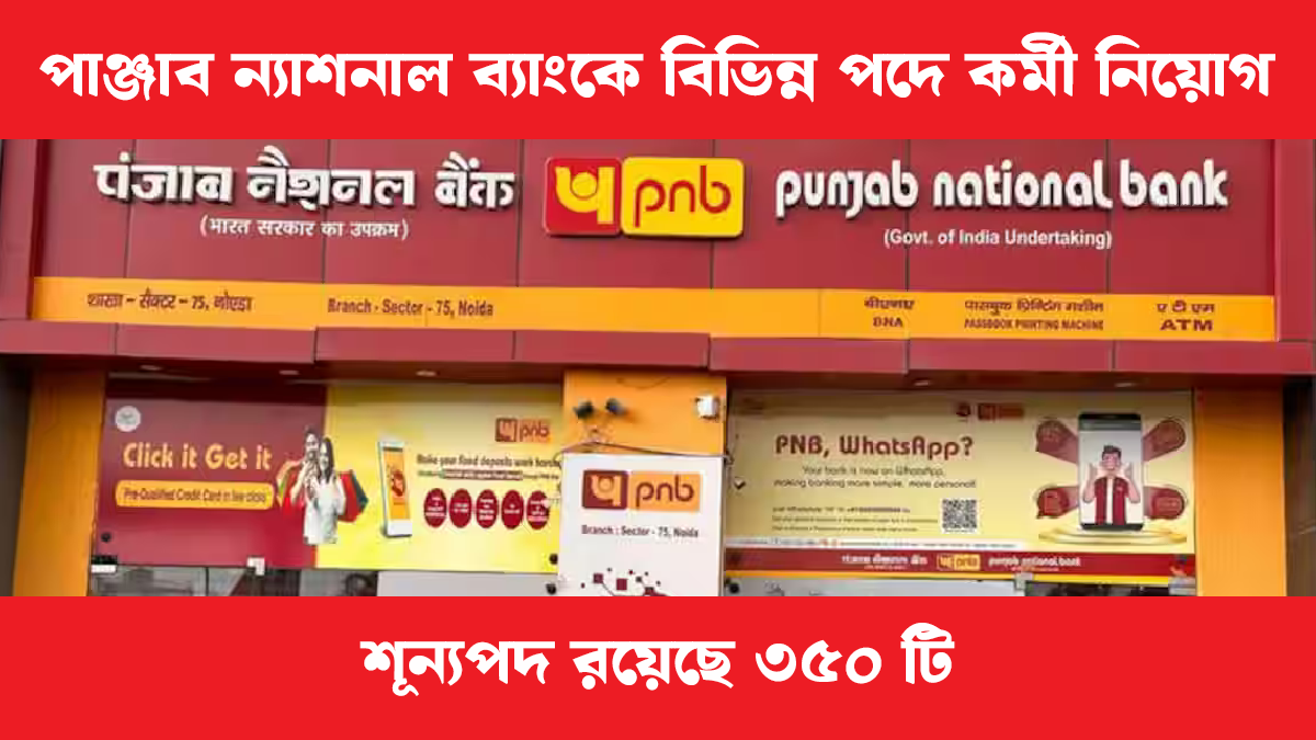 PNB Bank Job Recruitment 2025