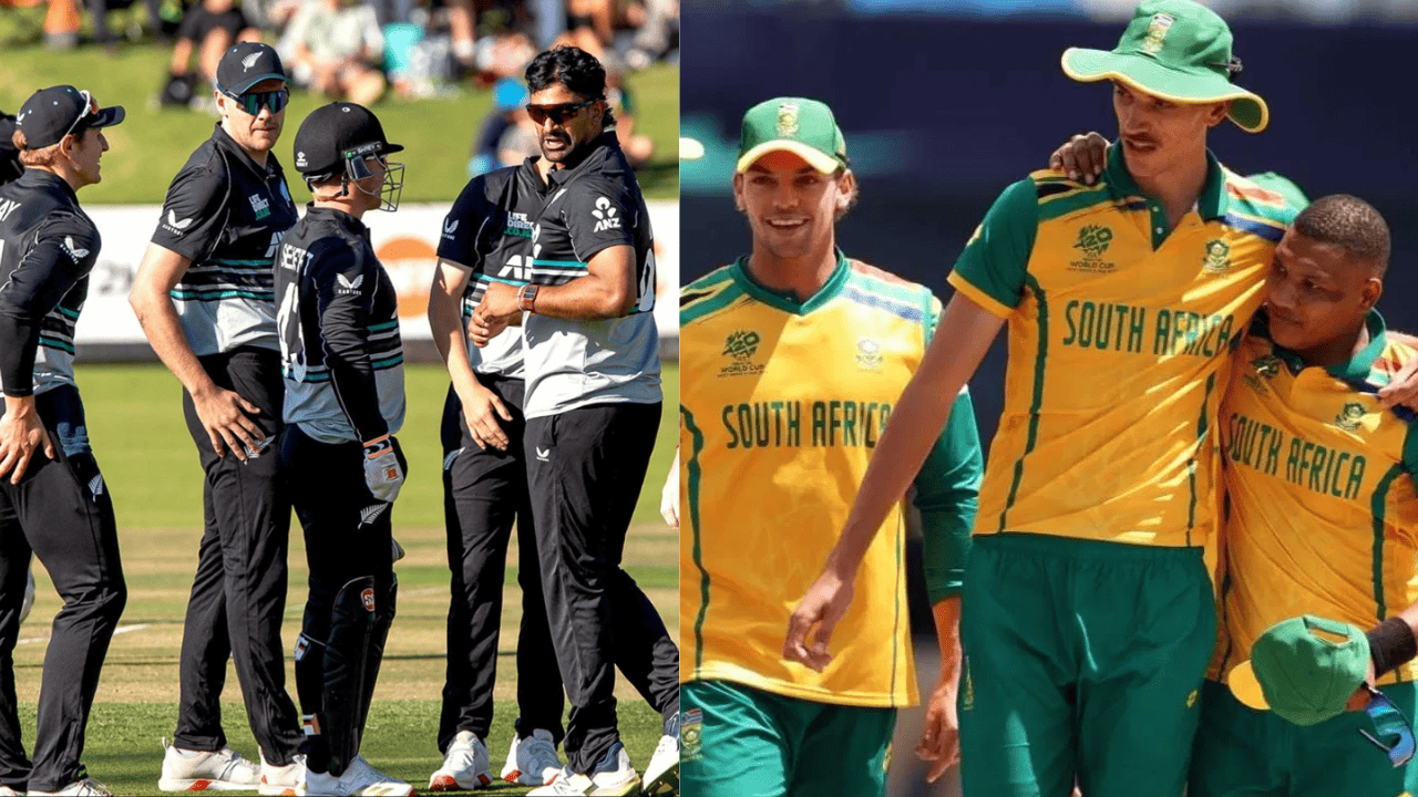 New Zealand vs South Africa T20 Highlight