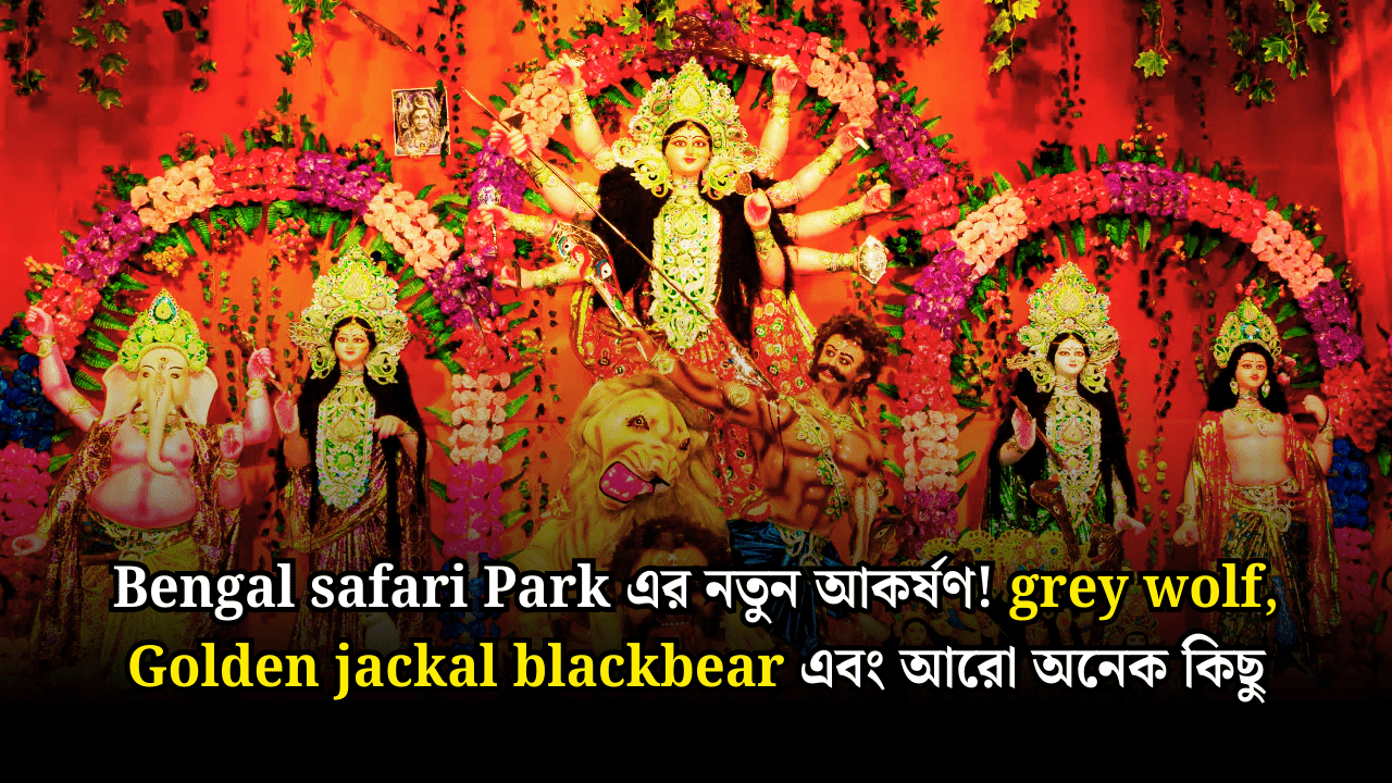 Bengal Safari Park Durga Puja 2025