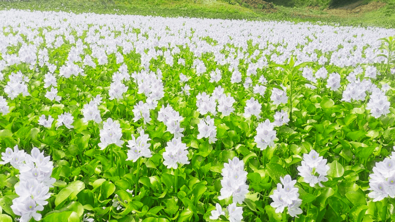 Small Investment Business Ideas