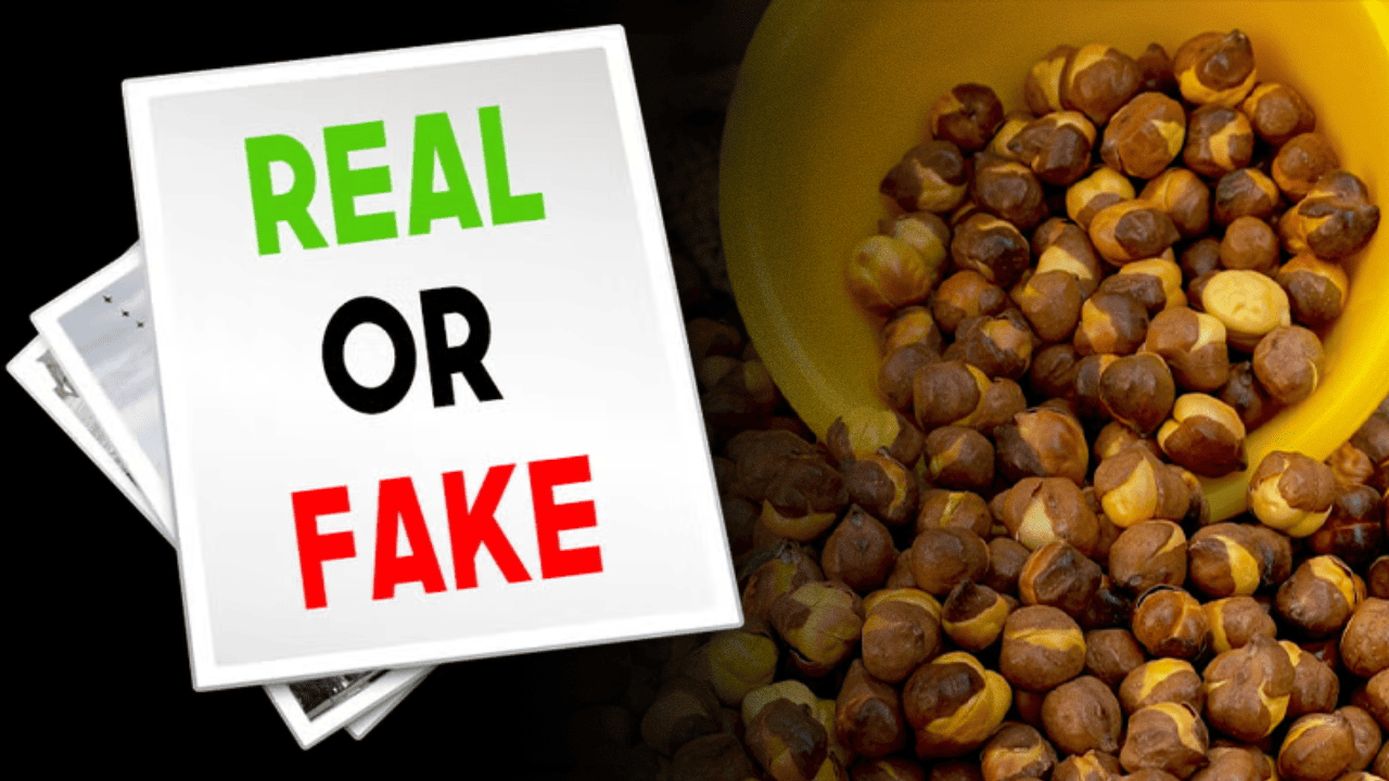 Fake Roasted Chana